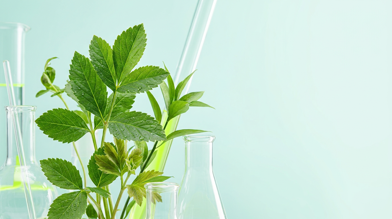 Calendário de Adubação Anual: Como Nutrir Suas Plantas em Cada Estação