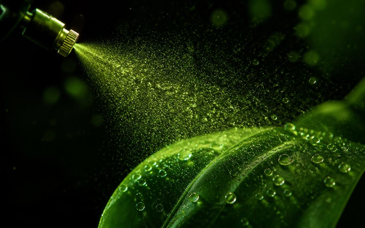 Diferença entre NPK 10-10-10 e Fertilizante Foliar MonsteraLab